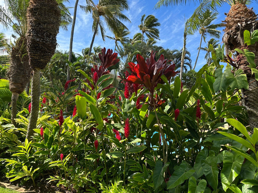 纳普里海滩毛伊酒店主图