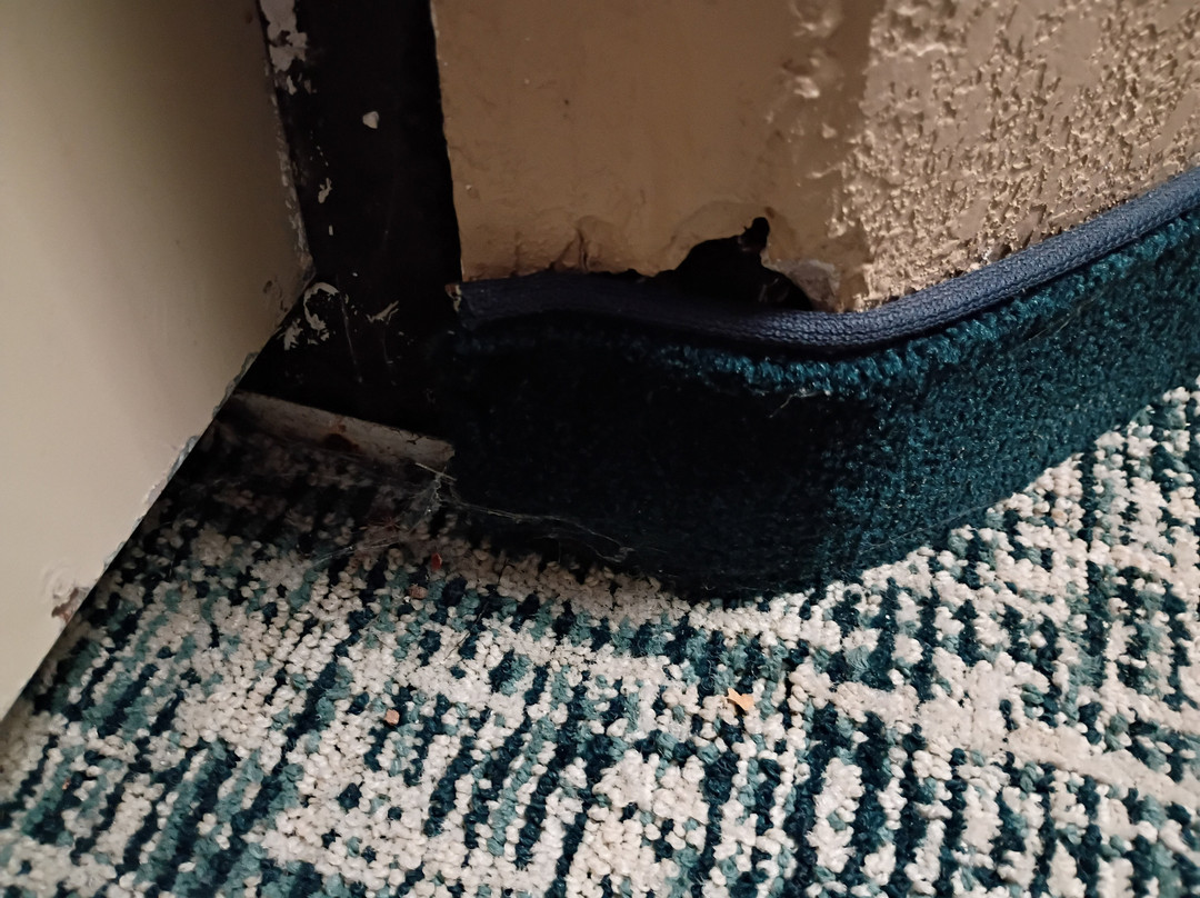 Clarion Inn Airport主图