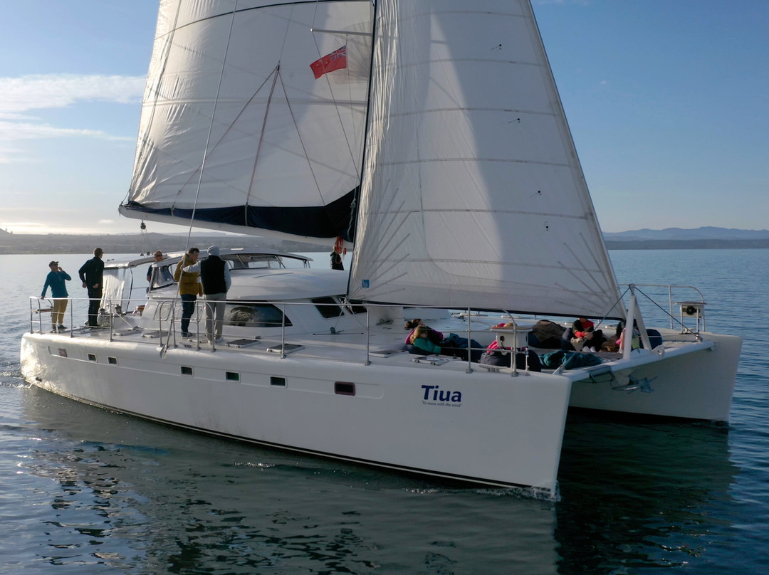 Taupo Sailing Adventures-Taupo Bay必去景点