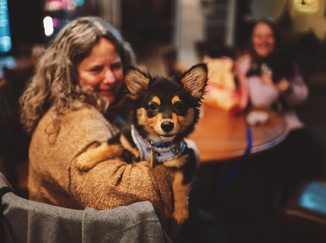 White Squirrel Brewery-鲍灵格林必去景点