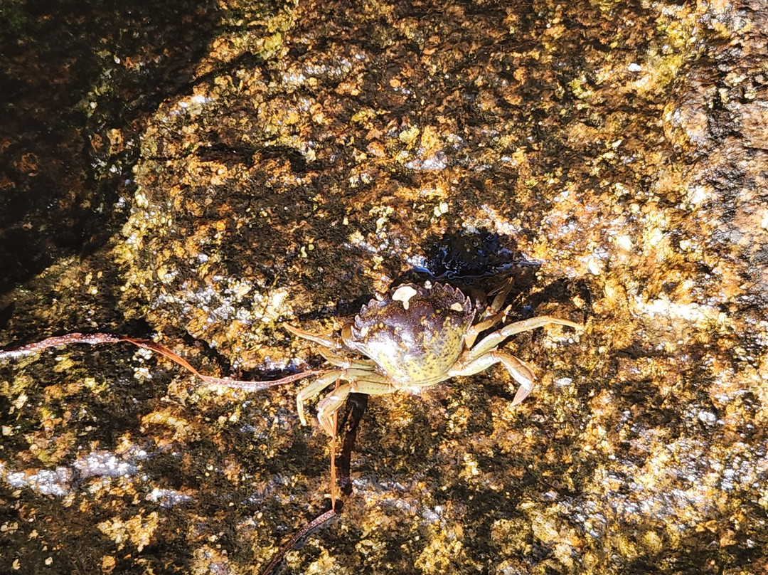 Clifty Cove Motel主图