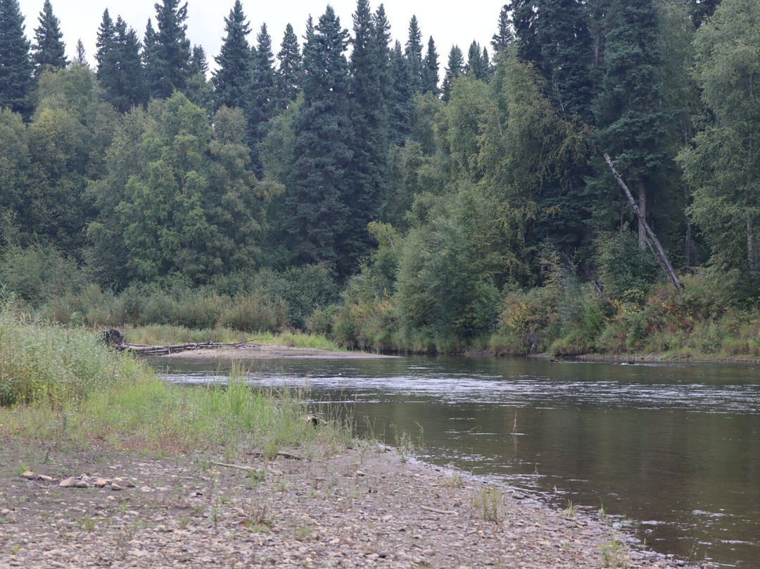 Last Frontier Mushing Co-op-费尔班克斯必去景点