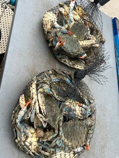 Porto Canale-Porto Garibaldi必去景点