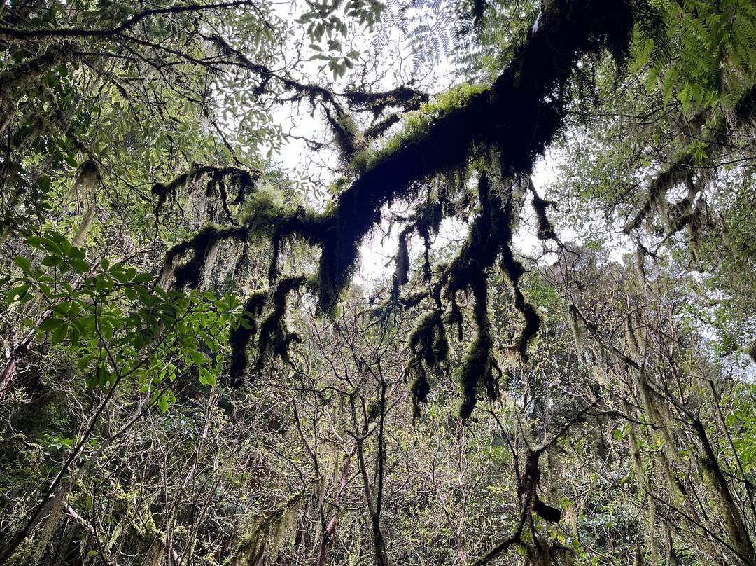 Catlins Tours-奥瓦卡必去景点