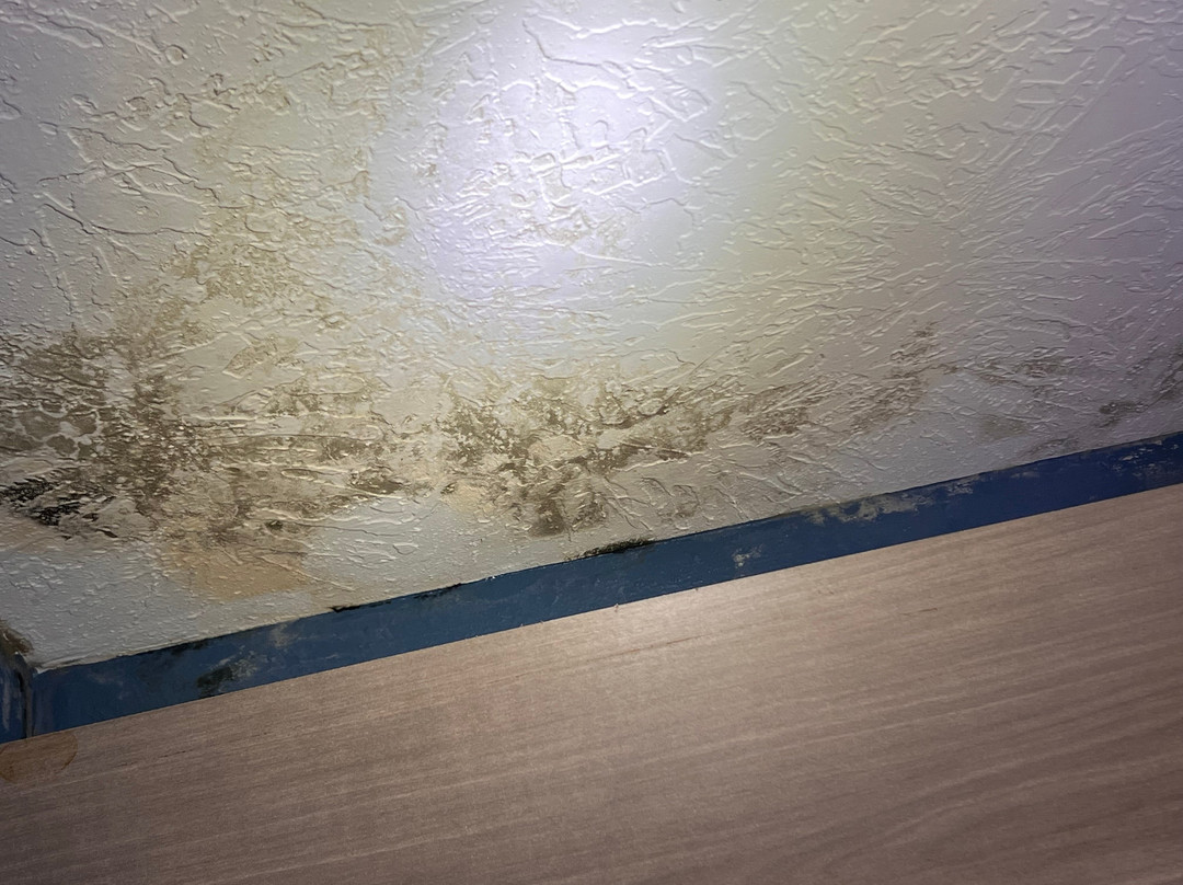 Holiday Inn Express Augusta Downtown By IHG主图