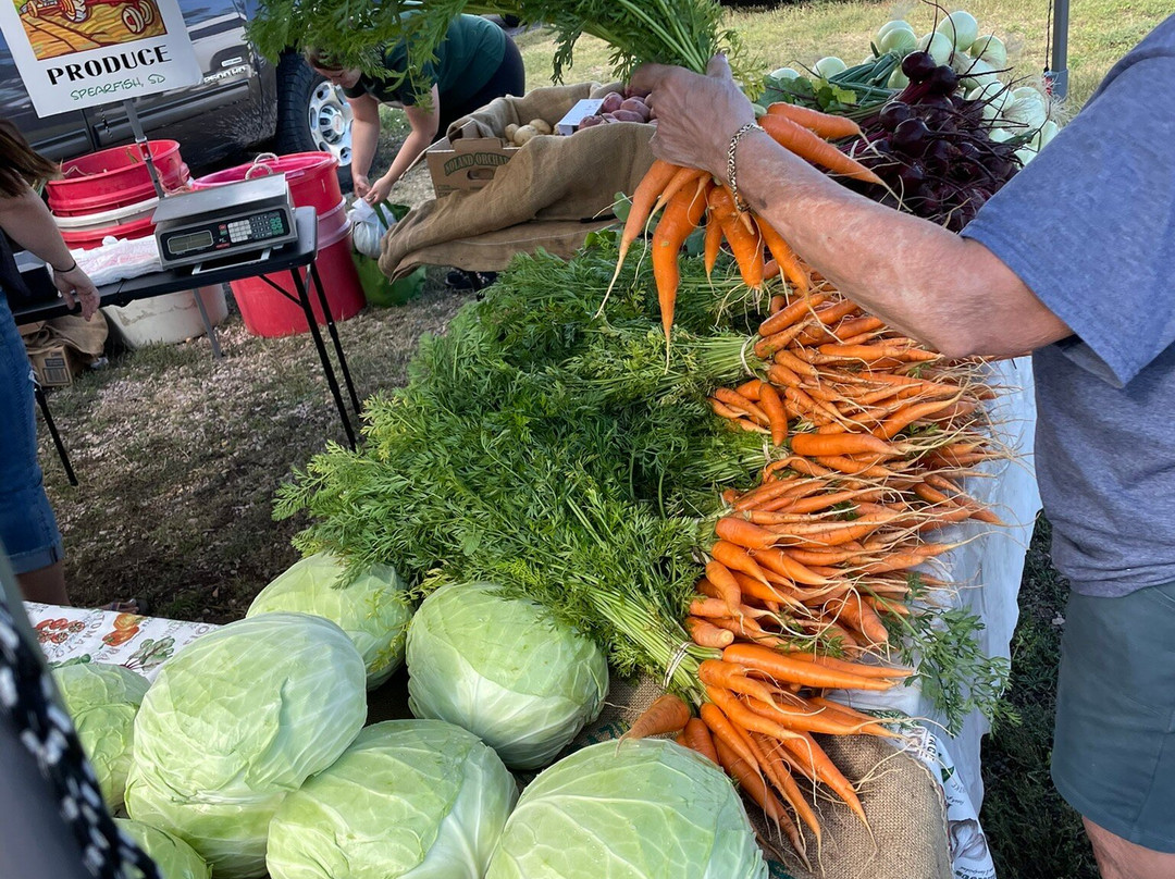 Black Hills Farmers Market-拉皮德城必去景点