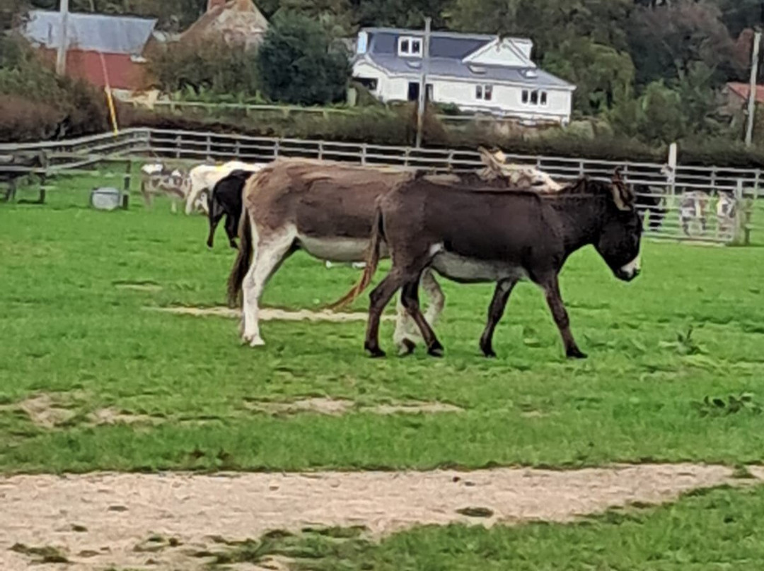 怀特岛毛驴之家-文特诺必去景点