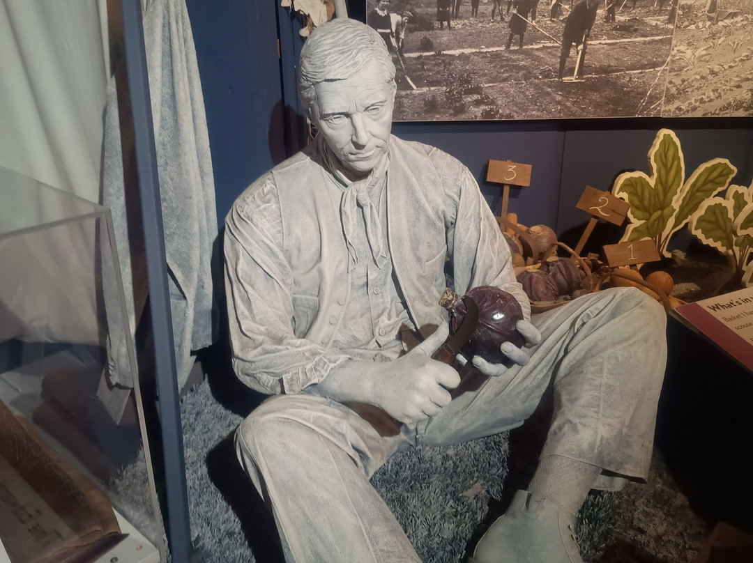 Port Sunlight Museum-Port Sunlight必去景点