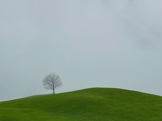 Private Guide in Zurich Lidia Maier-苏黎世必去景点