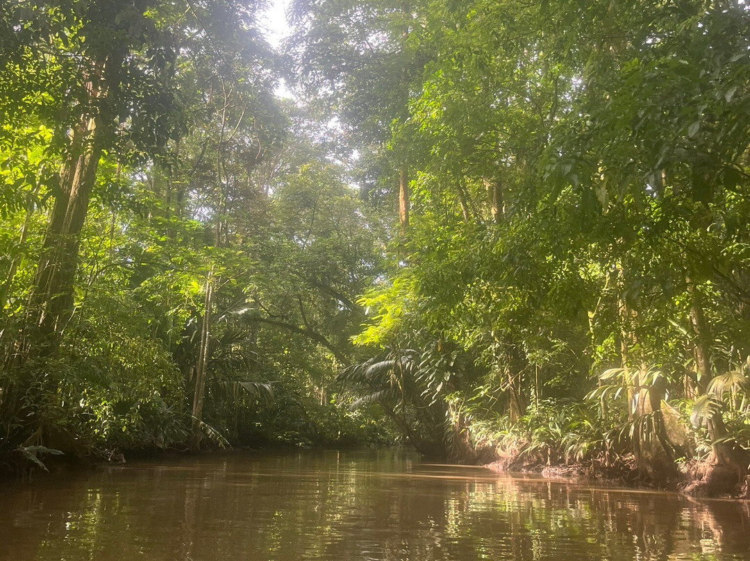 Asuaire Travel-圣何塞必去景点