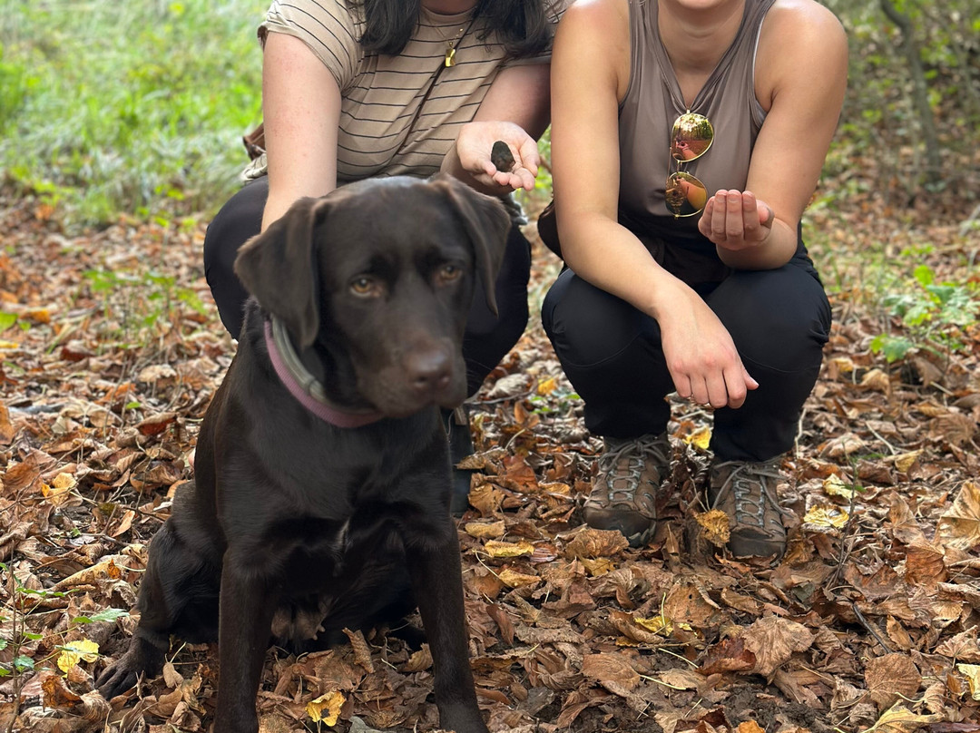 Mati - Truffle-Vipava必去景点