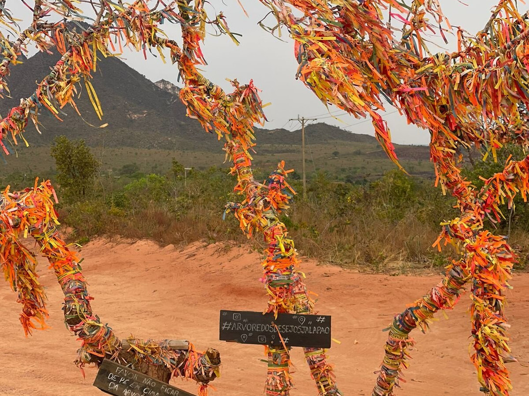 Árvore dos Desejos-Mateiros必去景点