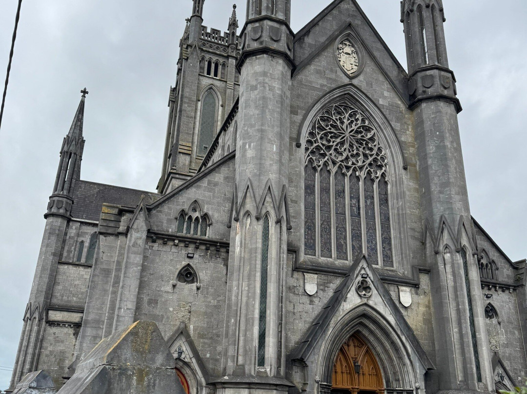 St. Mary's Catholic Cathedral-基尔肯尼必去景点
