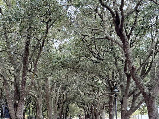 Wingate By Wyndham Charleston Coliseum主图