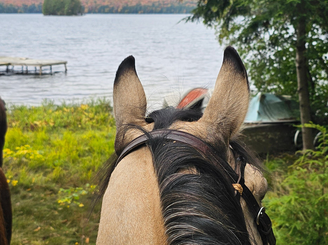 South Algonquin Trails-Harcourt必去景点