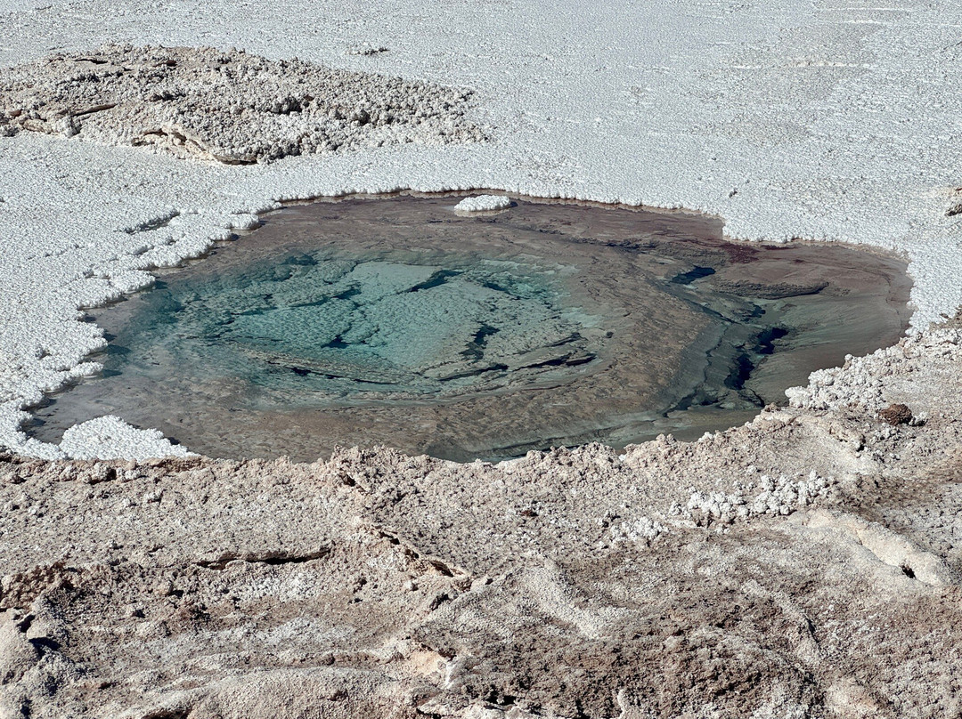 Lagunas Baltinache-圣佩德罗-德阿塔卡马必去景点