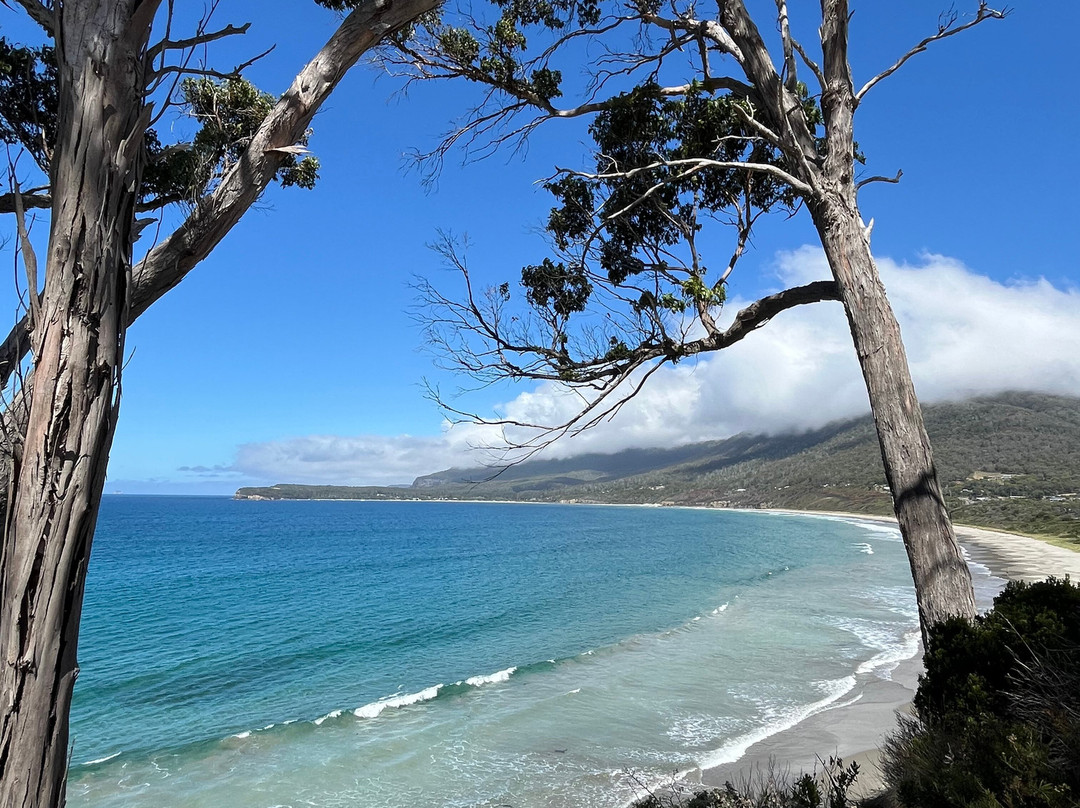 Tessellated Pavement-伊格尔霍克内克必去景点