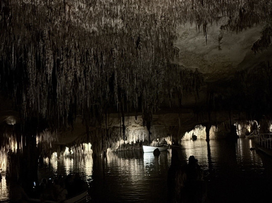 Lemon Tours-马洛卡帕尔马必去景点