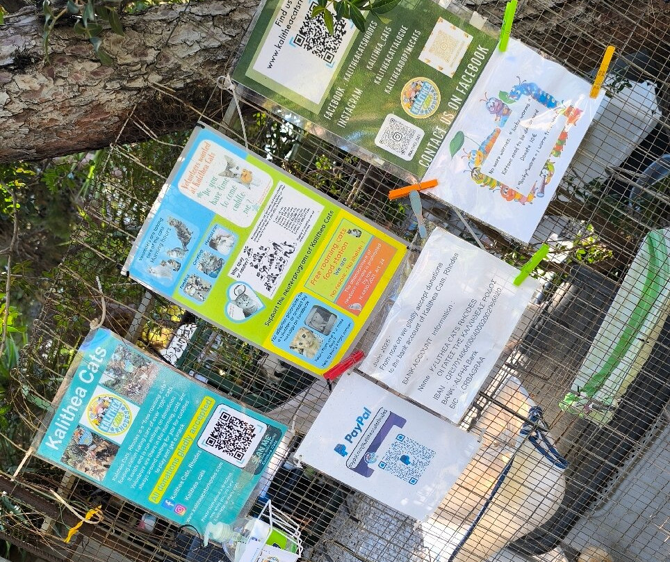 Kallithea Cats-Kallithea必去景点