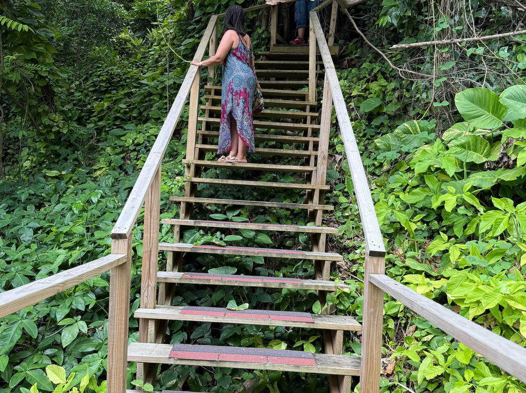 Konoko Falls & Park-奥乔里奥斯必去景点