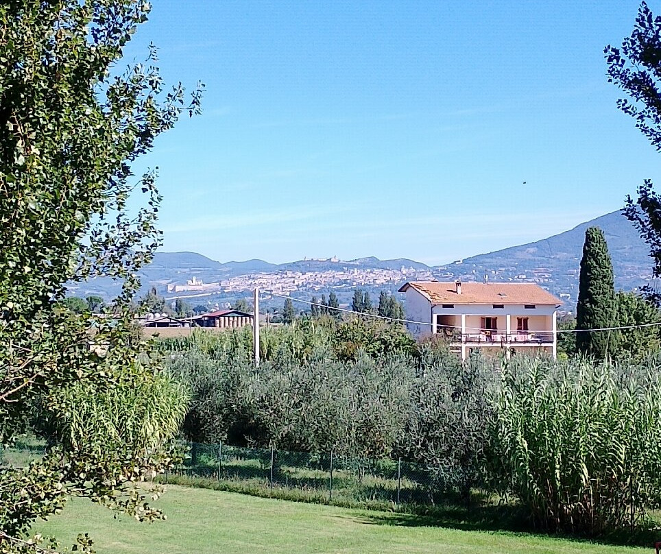 Le Rondini Di Francesco Di Assisi - Agriturismo主图