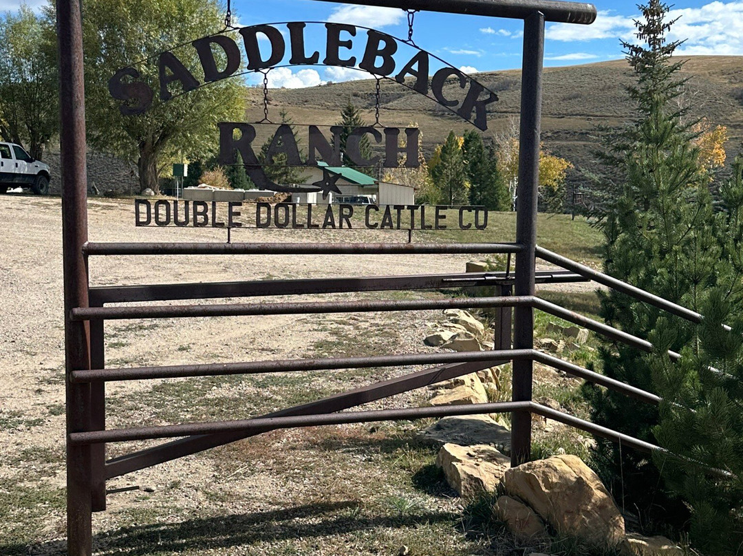 Saddleback Ranch-斯廷博特斯普林斯必去景点