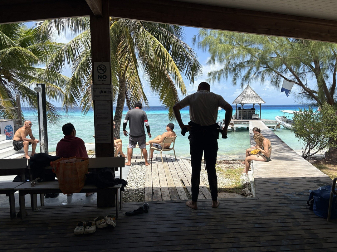 TOPDIVE Rangiroa-阿瓦托鲁必去景点