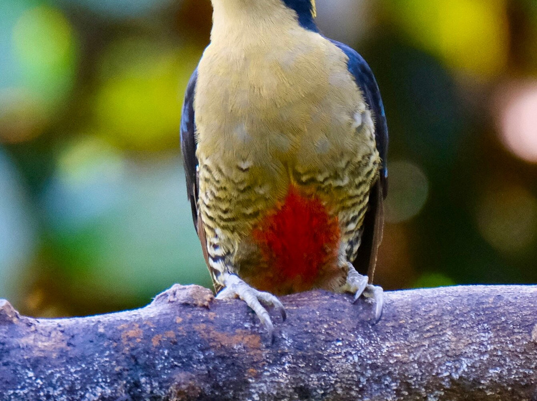 0S3 Private Tours-哈科必去景点