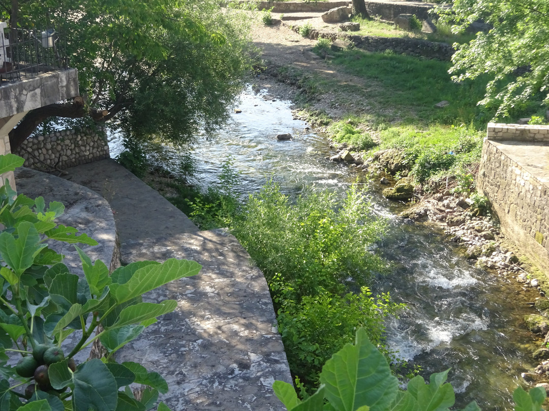 Radobolja River-莫斯塔尔必去景点