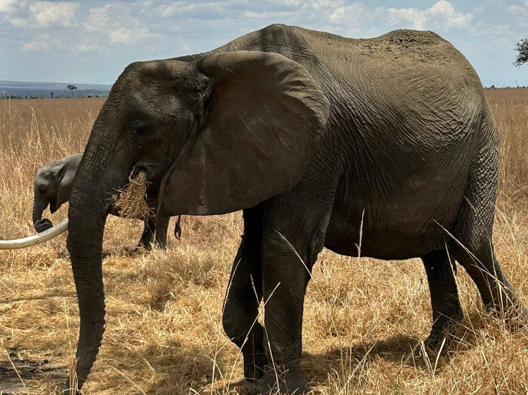 Dream Dhow Zanzibar-Kendwa必去景点