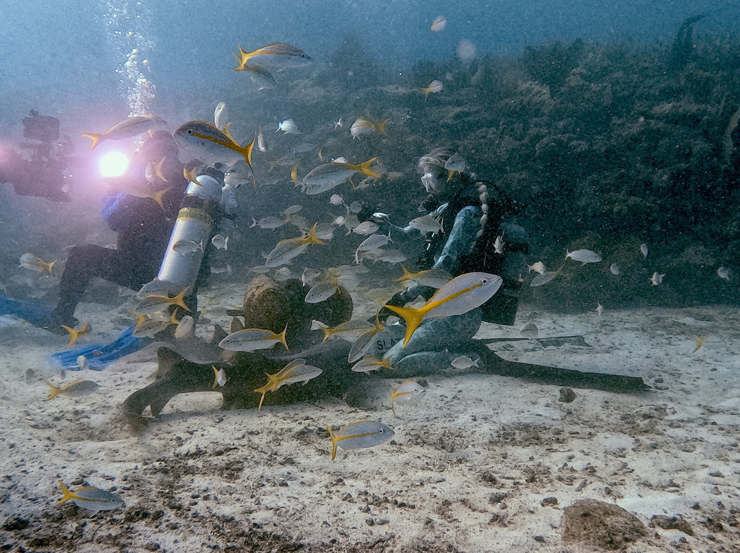 Captain Slate's SCUBA Adventures-Tavernier必去景点