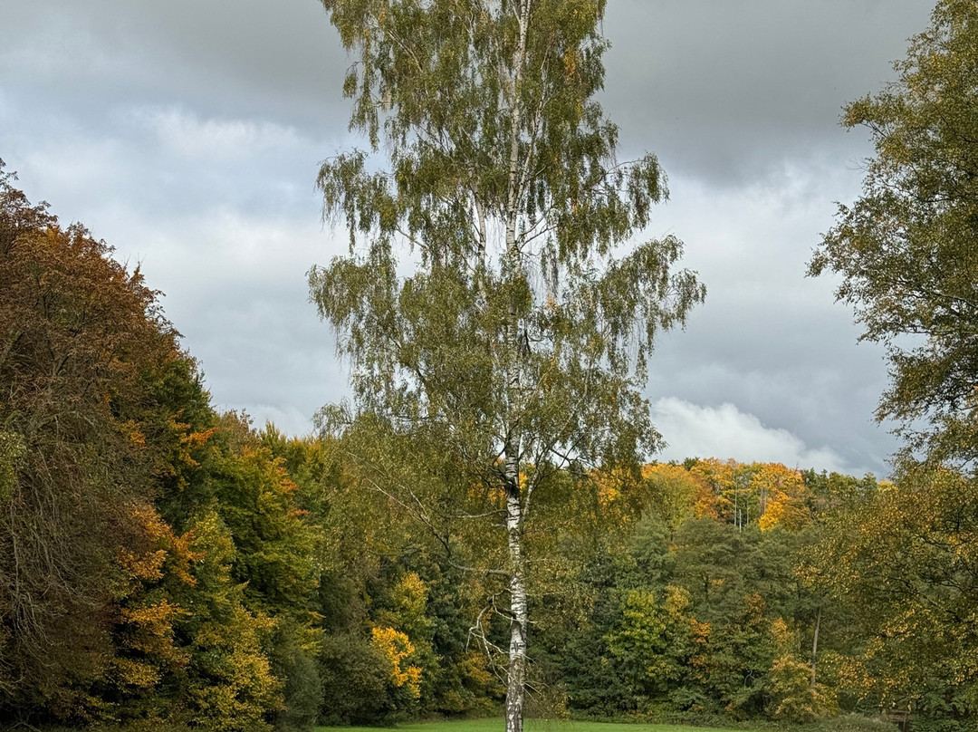 Externsteine-霍恩-巴特迈恩贝格必去景点