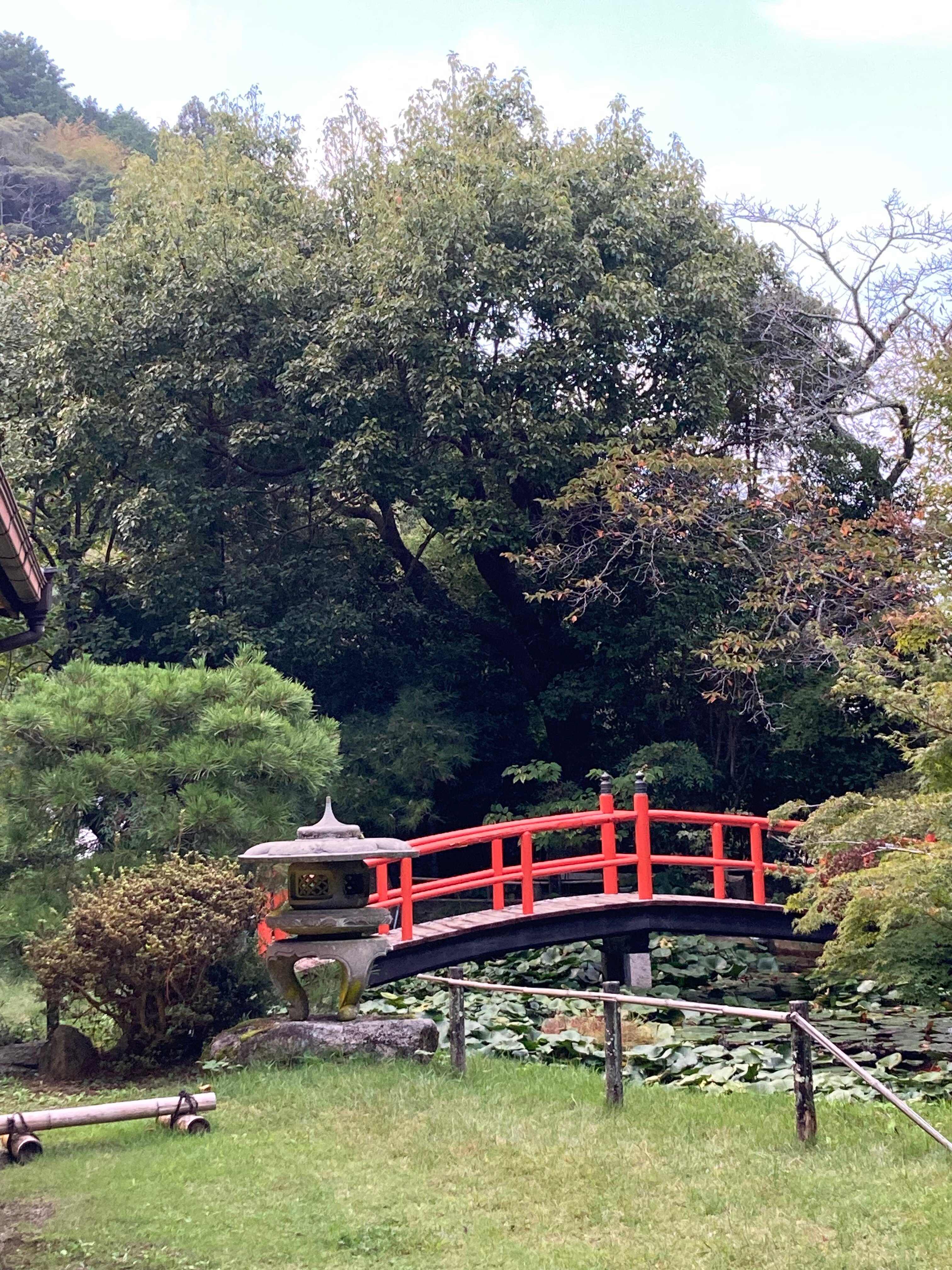 天见温泉南天苑-官方