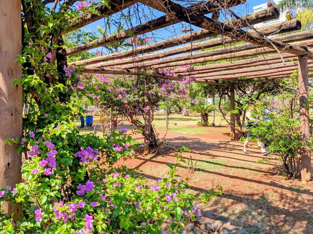 Parque Ambiental Ipiranga-Anapolis必去景点