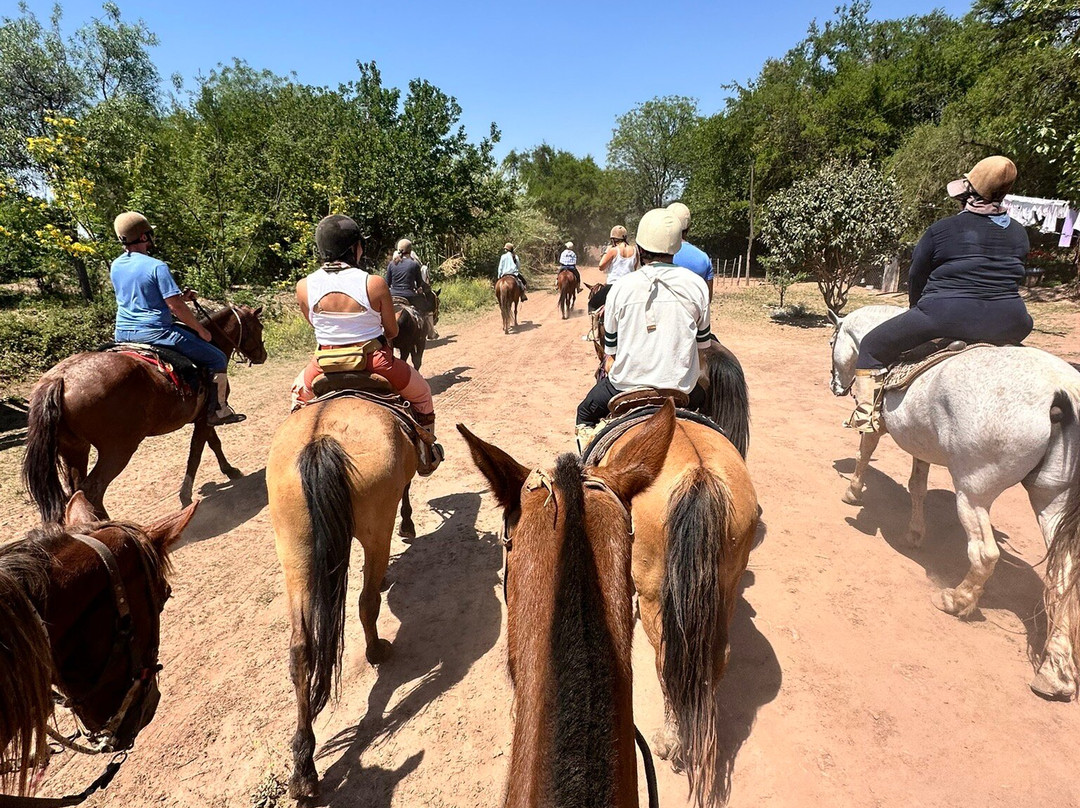 SAYTA-Chicoana必去景点