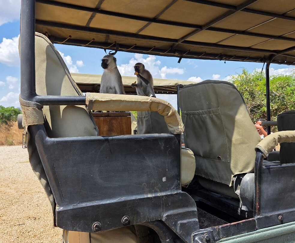 TanzAmerica Safaris Ltd.-米库米国家公园必去景点