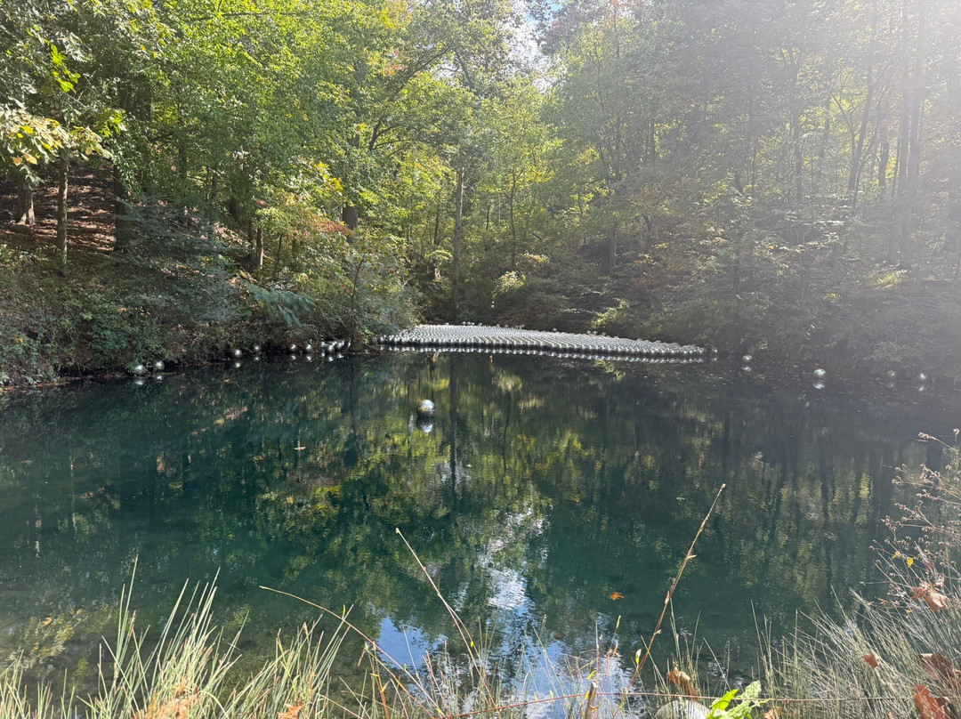 Frank Lloyd Wright's Bachman-Wilson House-本顿维尔必去景点