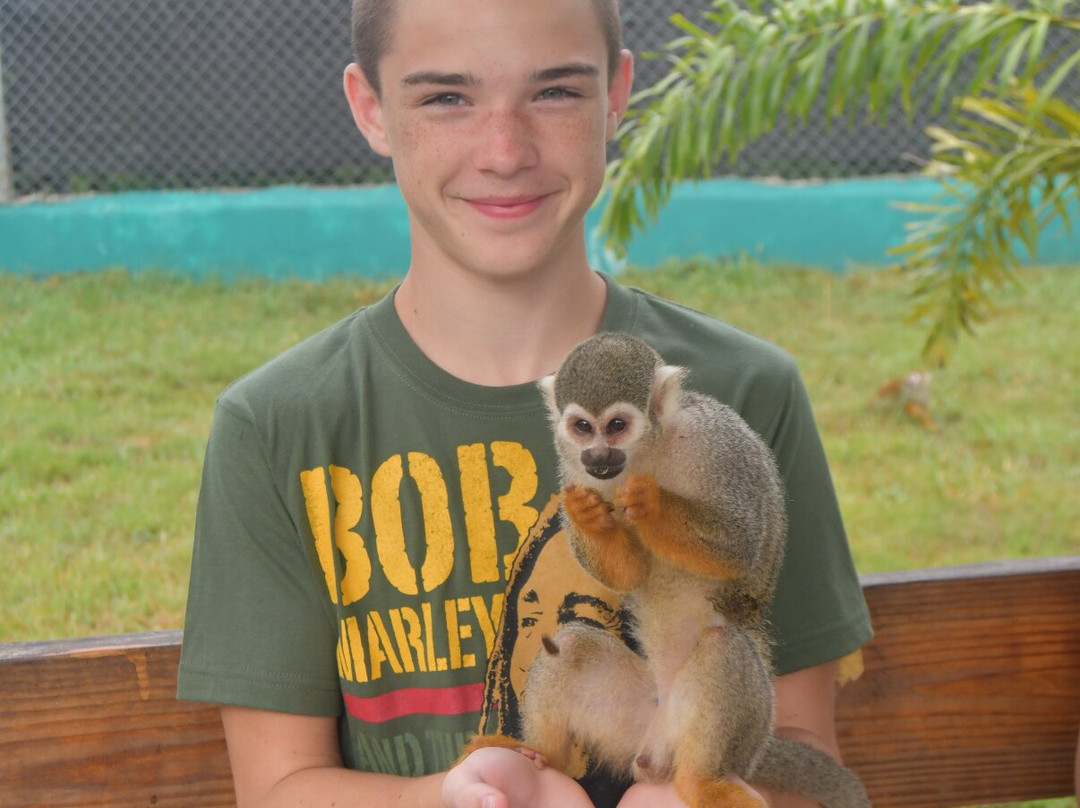 RV Tours DR-普拉塔港必去景点