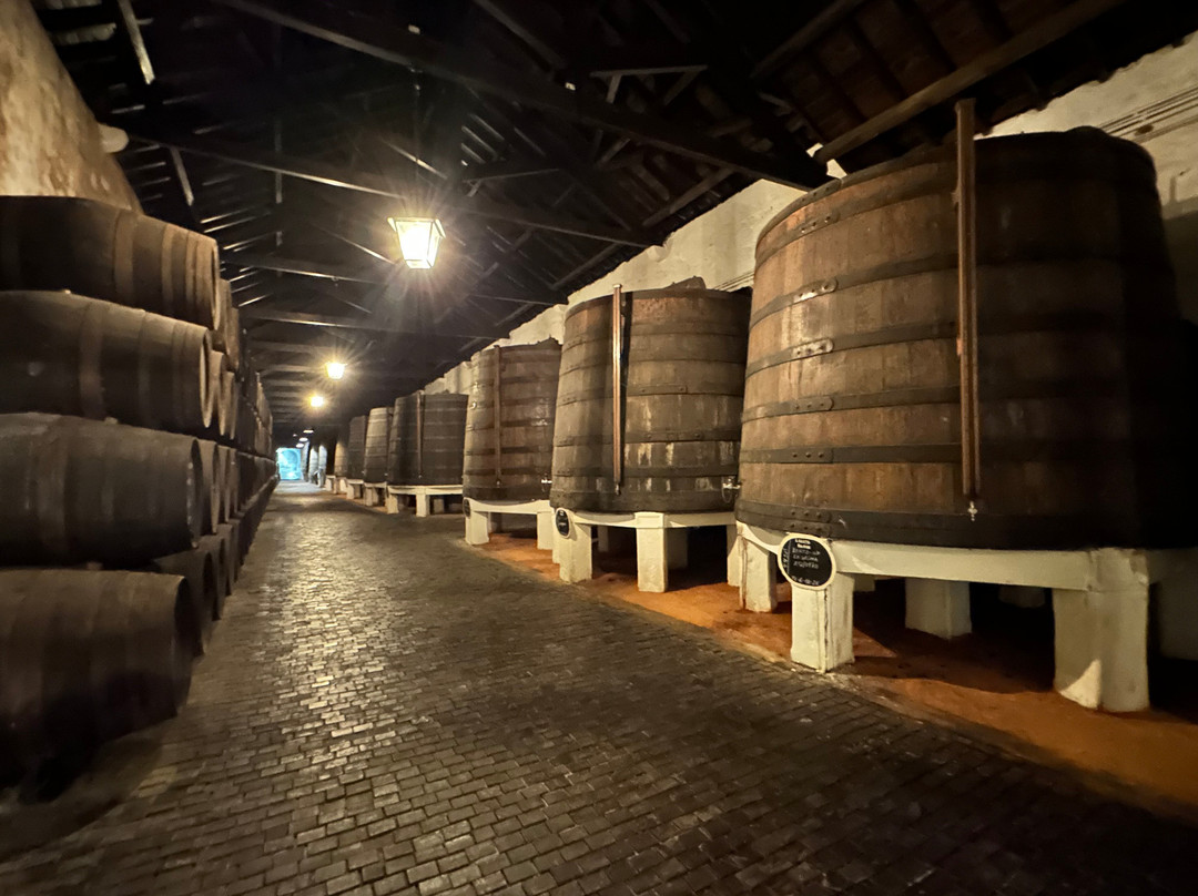 Ferreira Cellars-加亚新城必去景点
