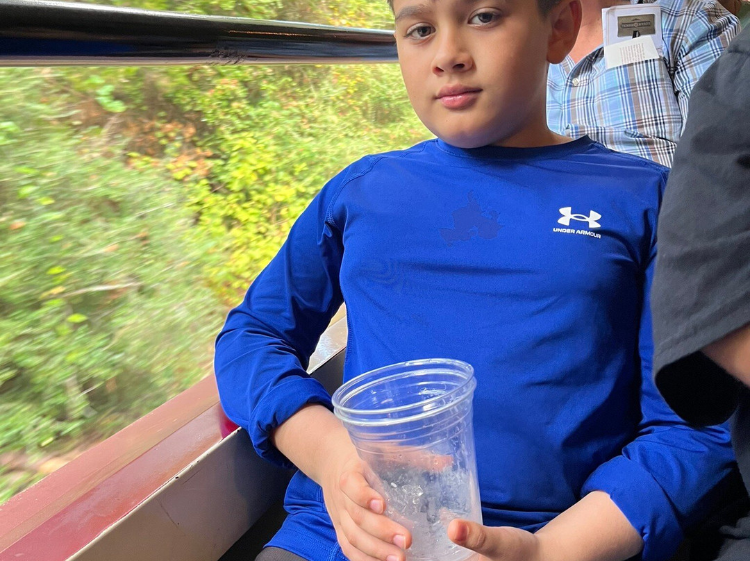 The Comedy Barn Theater-皮金福奇必去景点