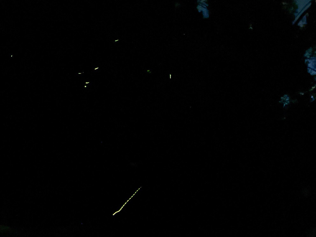 Cherating River-珍拉汀必去景点