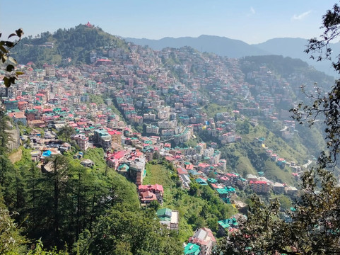 THE THRILL HIMALAYA-西姆拉必去景点