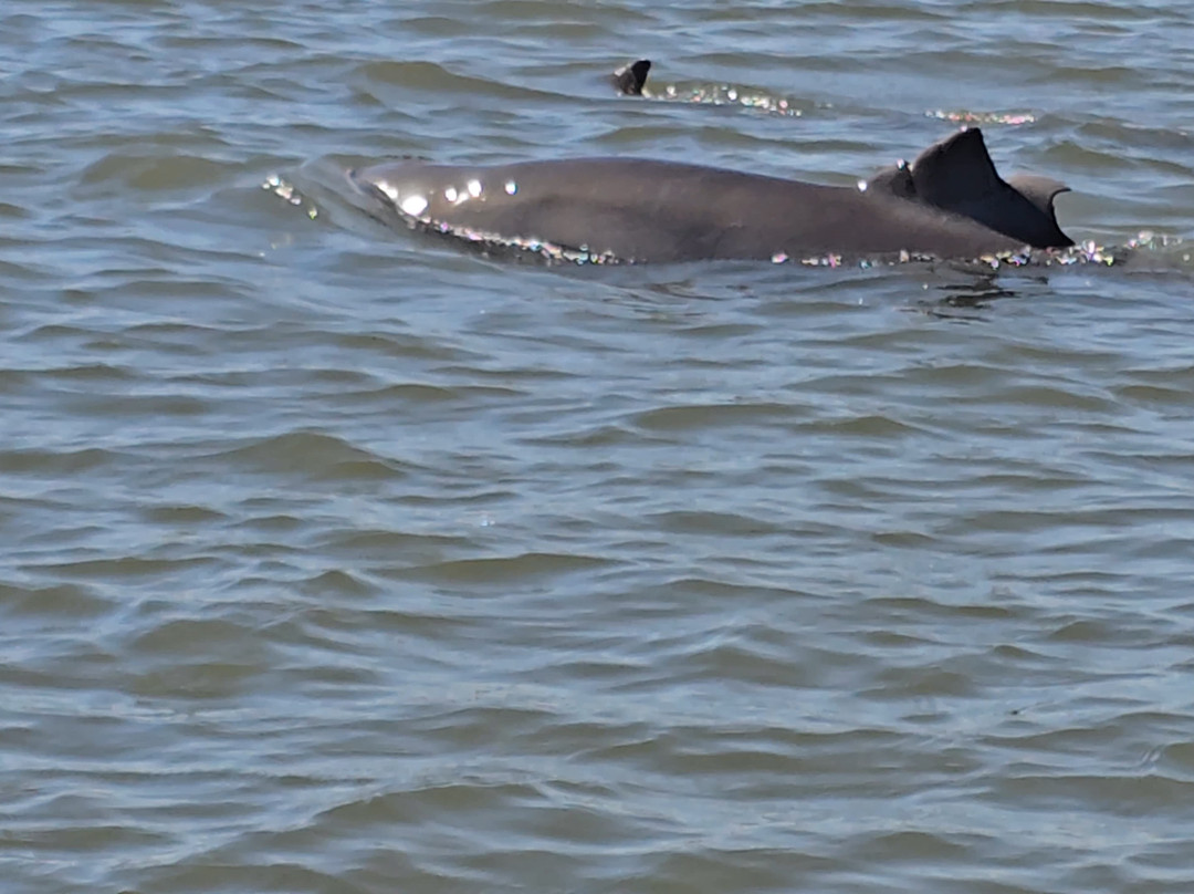 Bluewater Adventure-希尔顿头岛必去景点