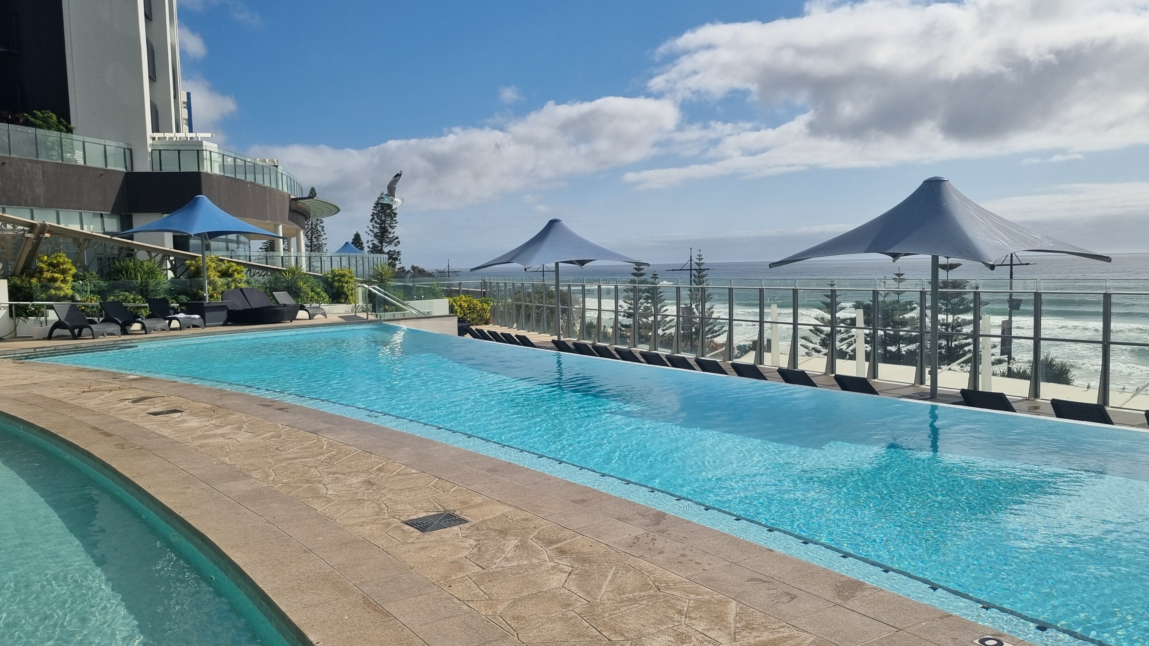 黄金海岸灵魂冲浪者天堂珮璞酒店-泳池