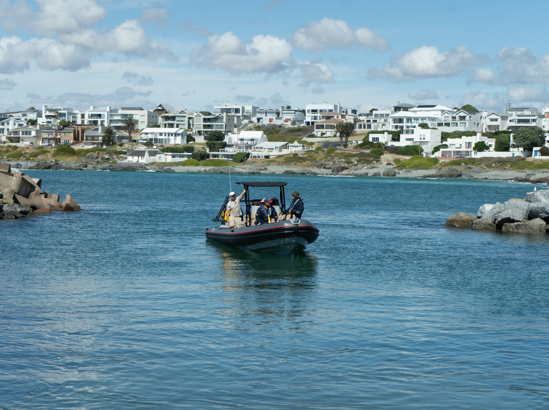 Cape Coast Expeditions-Yzerfontein必去景点