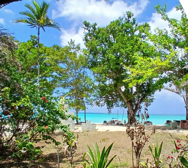 Sunset At The Palms-泳池