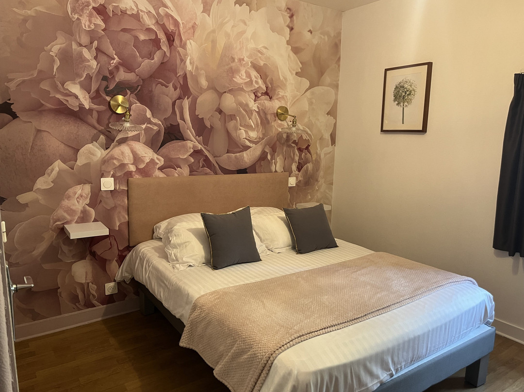 Logis Hôtel le Cygne主图