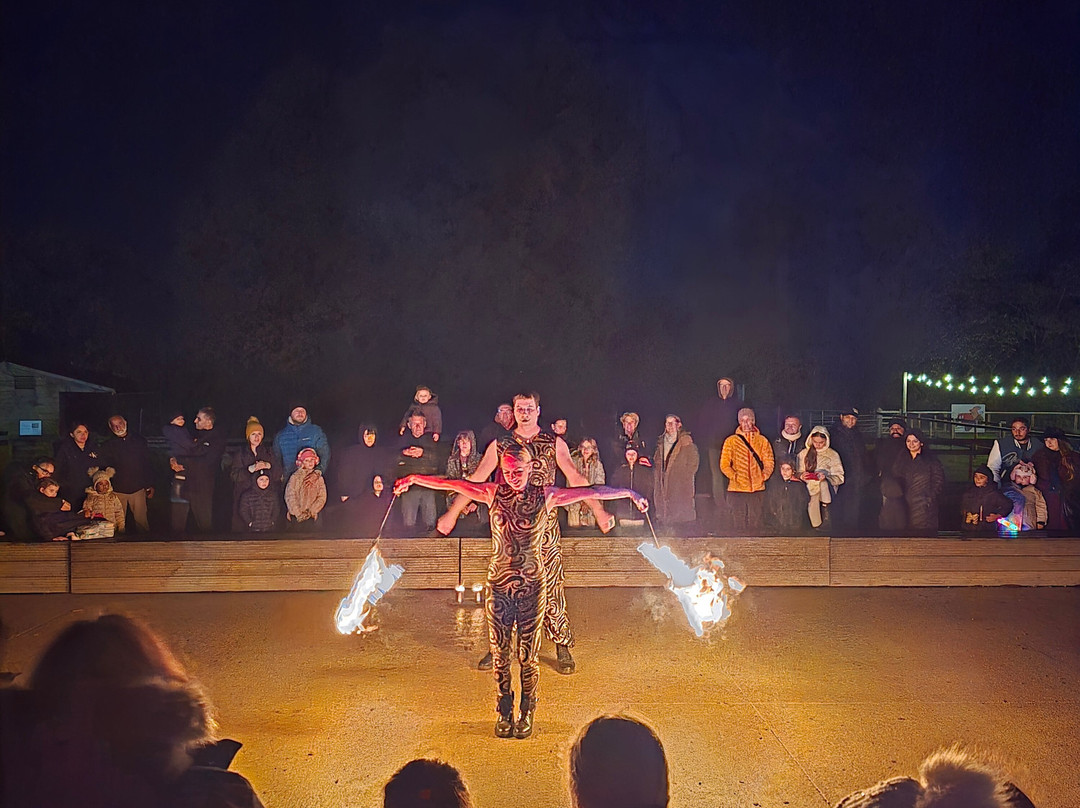 Odds Farm Park-海威科姆必去景点