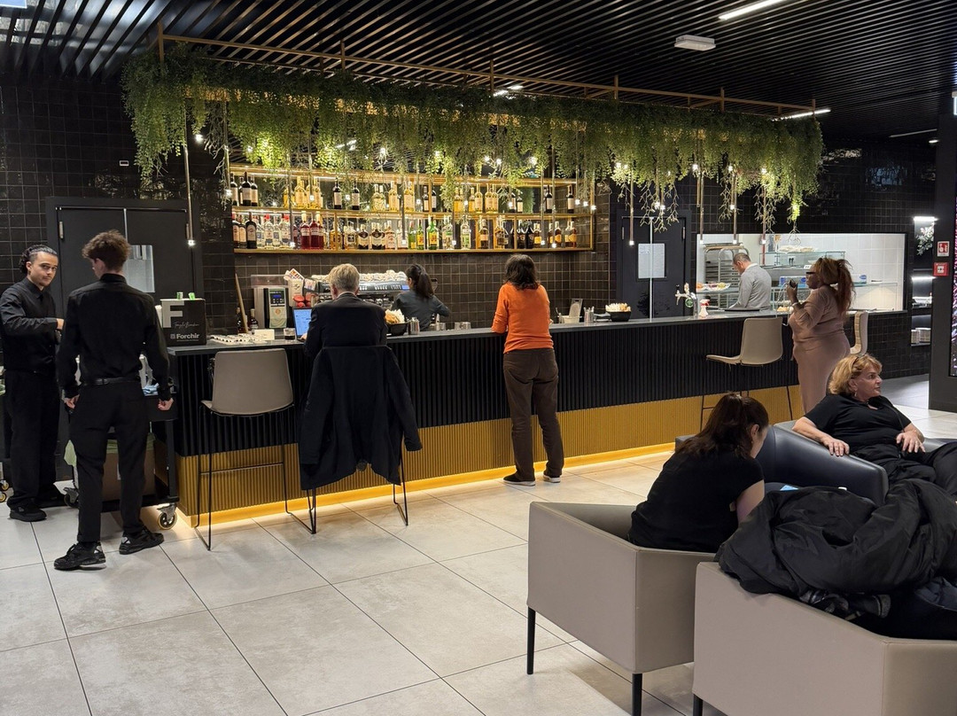 Prima Vista Lounges Rome -A Gates Schengen Area-菲乌米奇诺必去景点