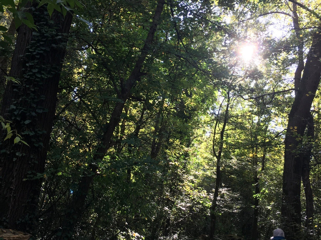 Parco della Chiusa-雷诺河畔卡萨莱基奥必去景点